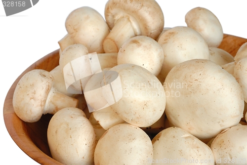 Image of Mushrooms