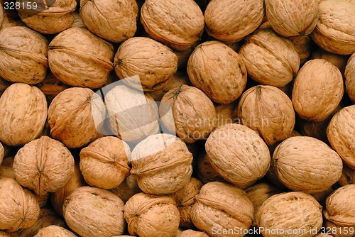 Image of Nuts