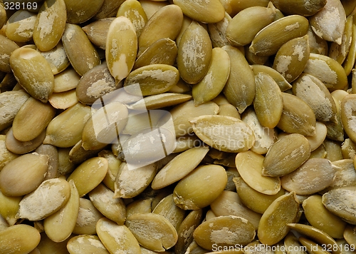 Image of Pumpkin Seeds