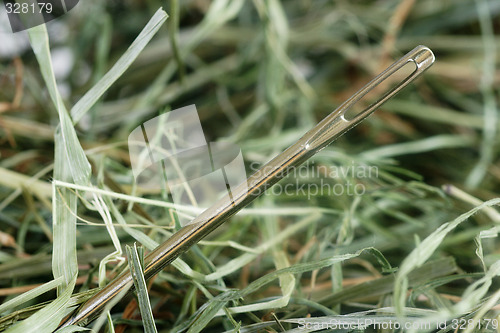 Image of Needle in a haystack