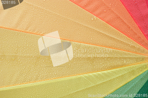 Image of Umbrella in Detail