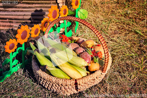 Image of Harvest vegetables sold at the fair