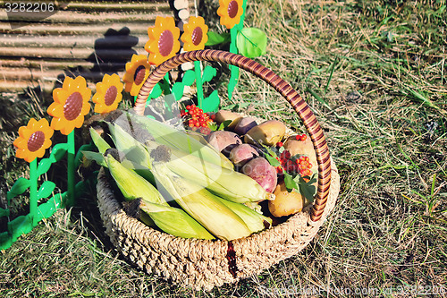 Image of Harvest vegetables sold at the fair