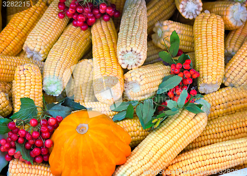 Image of Harvest vegetables sold at the fair