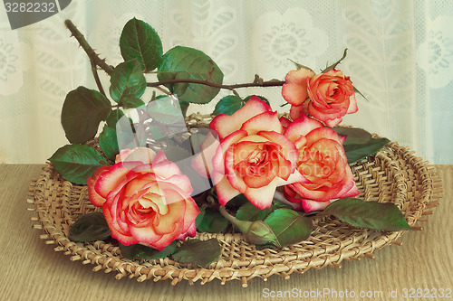 Image of The roses on the table on a wicker platter.