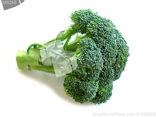 Image of Broccoli isolated on white