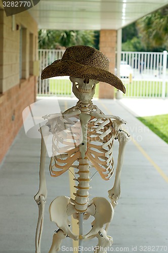 Image of human skeleton with hat