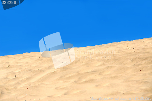 Image of Sand dune