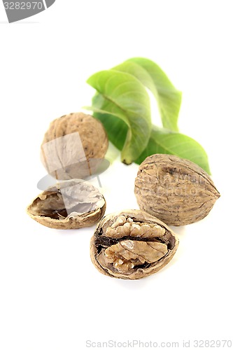 Image of Walnut with walnut leaves