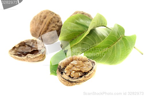 Image of crunchy walnuts with walnut leaves