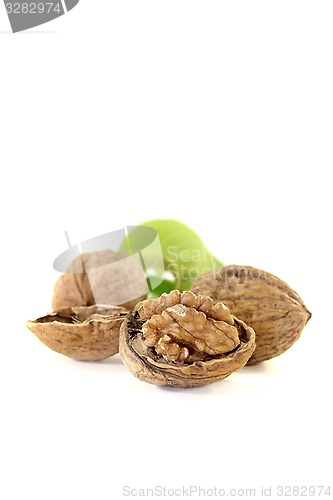 Image of fresh walnuts with walnut leaves