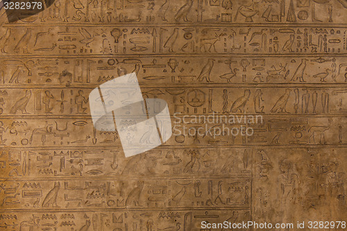 Image of Hieroglyph