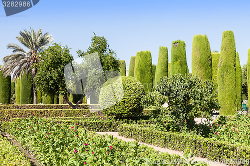 Image of Italian Garden