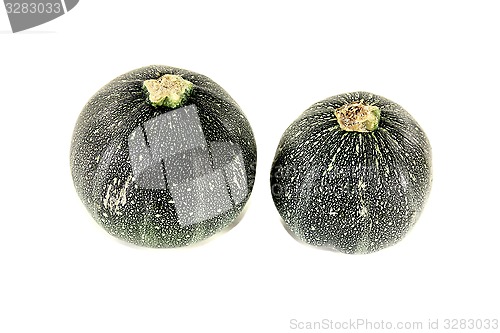 Image of fresh raw rotund zucchini