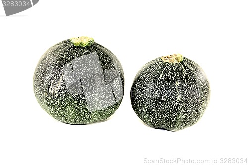 Image of fresh rotund zucchini