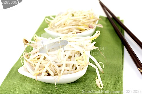 Image of mung bean sprouts