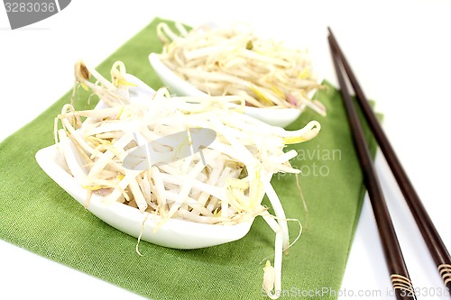 Image of fresh mung bean sprouts