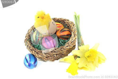 Image of Easter Basket with chick