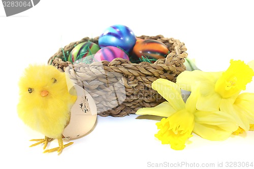 Image of Easter Basket with chick and daffodils