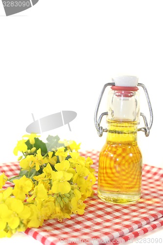 Image of fresh Rapeseed oil