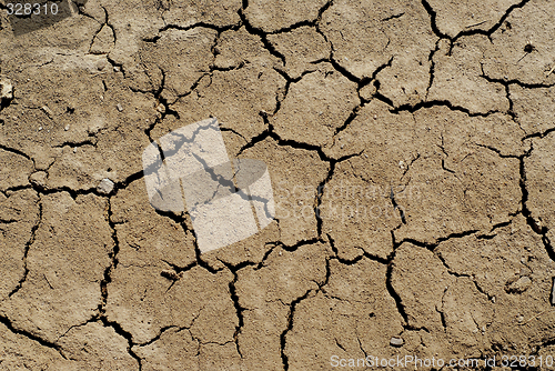 Image of Dry soil background