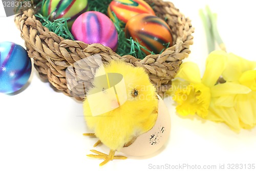 Image of Easter Basket with chick and colorful eggs