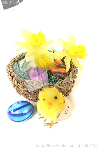 Image of Easter Basket with chick, daffodils and colorful eggs