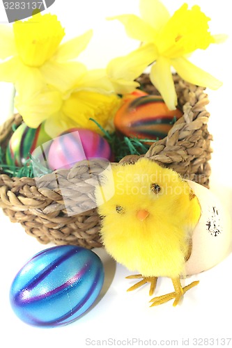 Image of Easter Basket with chick and yellow daffodils