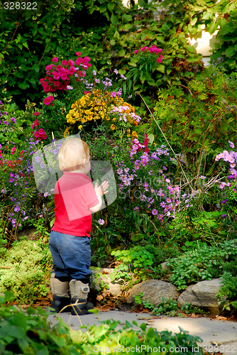 Image of Toddler garden