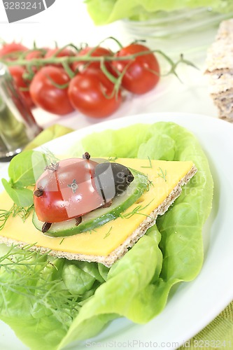 Image of Crispbread with cheese, dill and ladybug