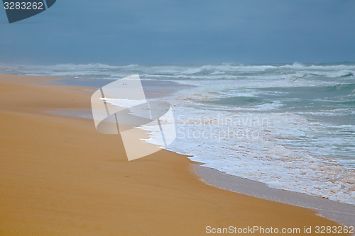 Image of Ocean Beach