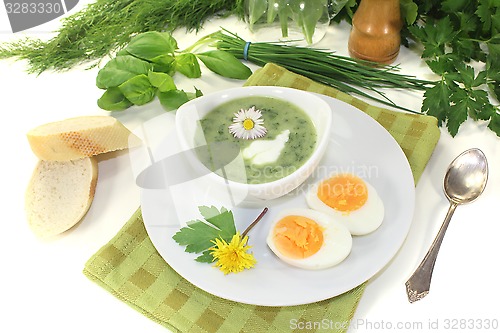 Image of fresh herbs soup with a dollop of cream