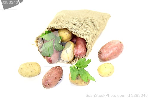 Image of colorful potatoes in jute sack