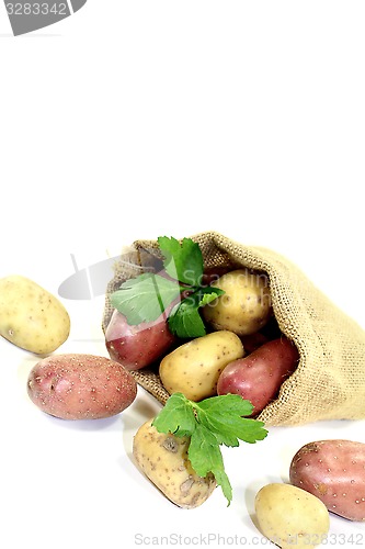 Image of yellow and red potatoes in the bag