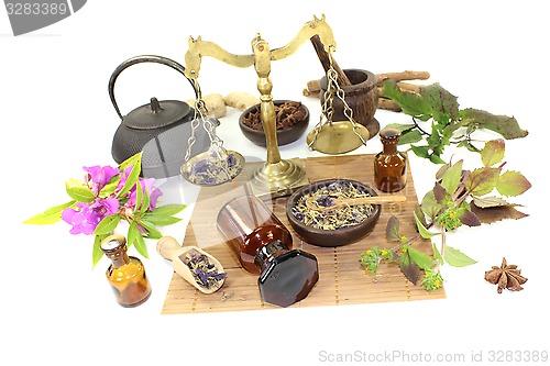 Image of Chinese medicine with plants and mortar