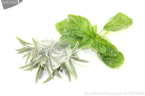 Image of sage and basil