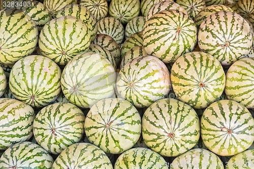 Image of Watermelon Sale