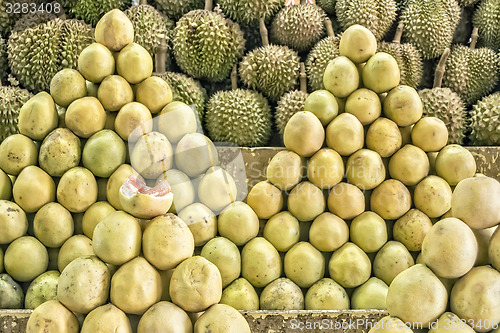 Image of Philippines Pomelo and Durian