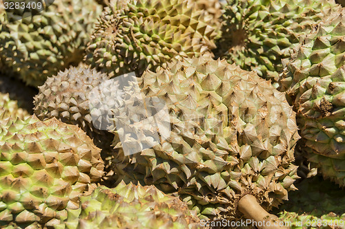 Image of Philippines Durian