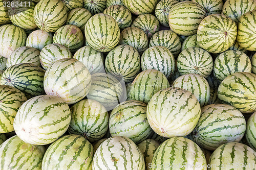 Image of Watermelon Sale