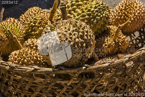 Image of Philippines Durian