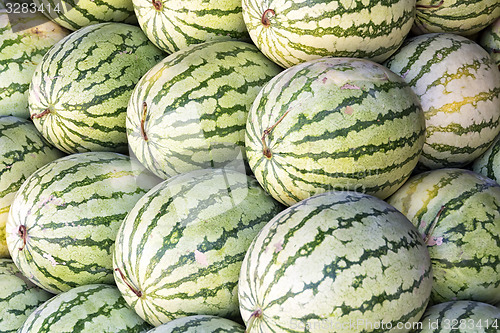 Image of Watermelon Sale