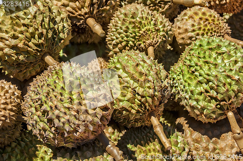 Image of Philippines Durian