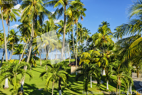 Image of Philippines Garden Resort