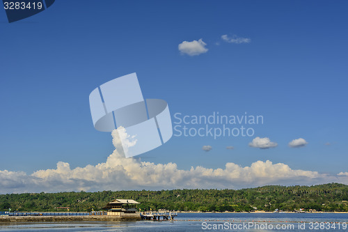 Image of Tropical Island Jetty