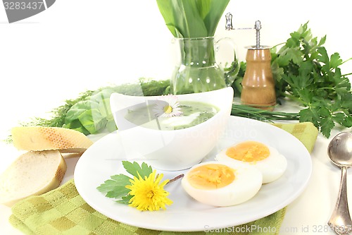 Image of green herb soup with daisy