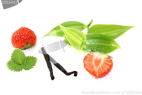 Image of Vanilla leaves with strawberries