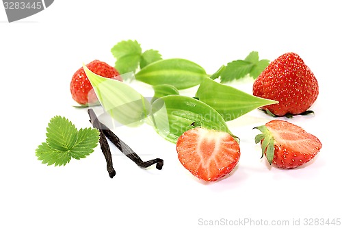 Image of green Vanilla leaves with red strawberries