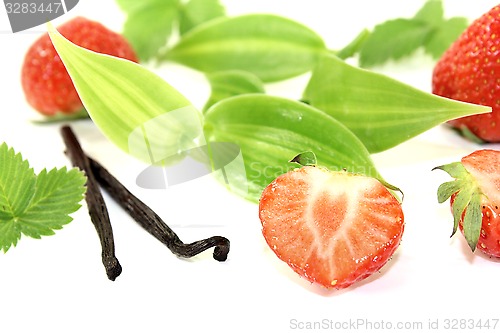 Image of Vanilla leaves with juicy strawberries