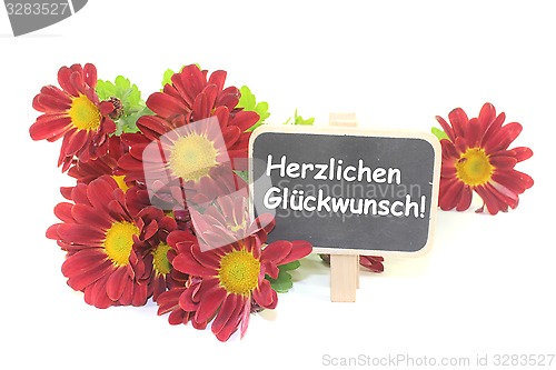 Image of red Chrysanthemums with board